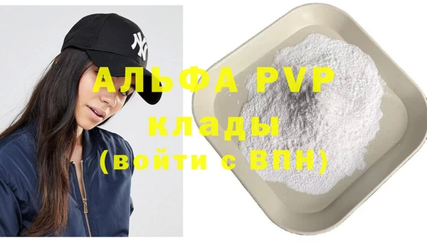 шишки Ельня