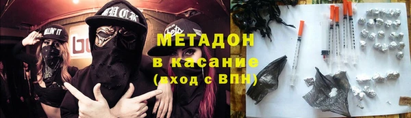 шишки Ельня