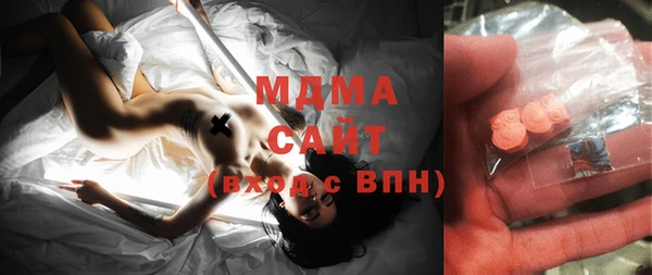 шишки Ельня