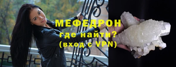 шишки Ельня