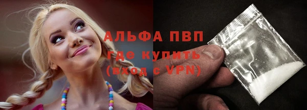 шишки Ельня