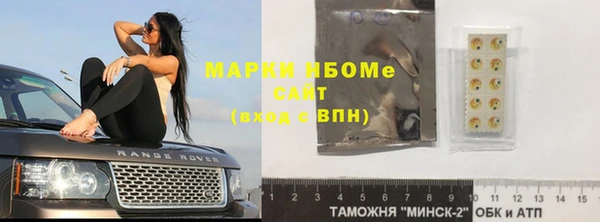 шишки Ельня