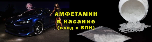 шишки Ельня