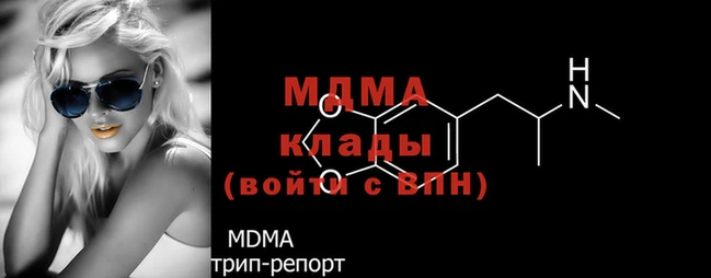 шишки Ельня