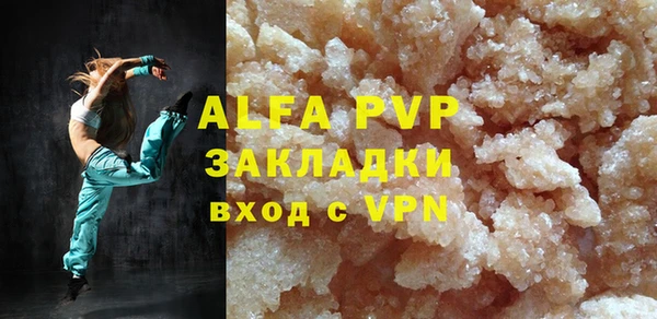 шишки Ельня