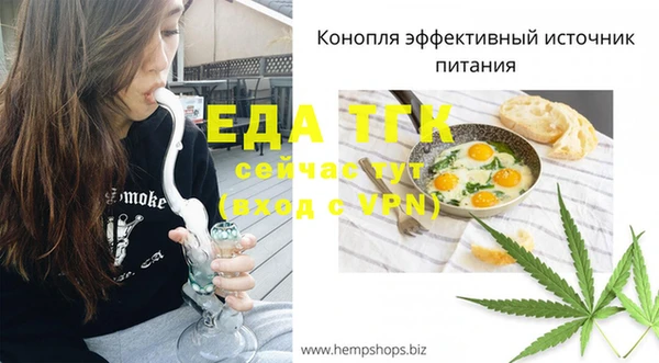 шишки Ельня