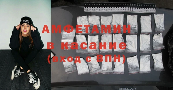 шишки Ельня