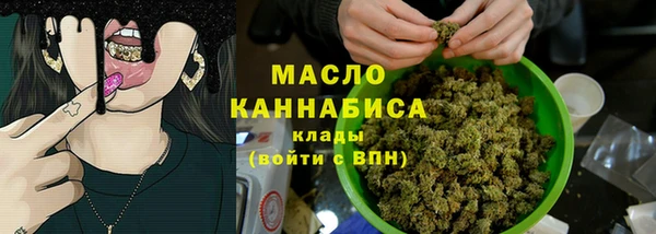 шишки Ельня