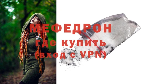 шишки Ельня