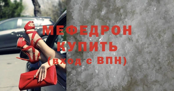 шишки Ельня