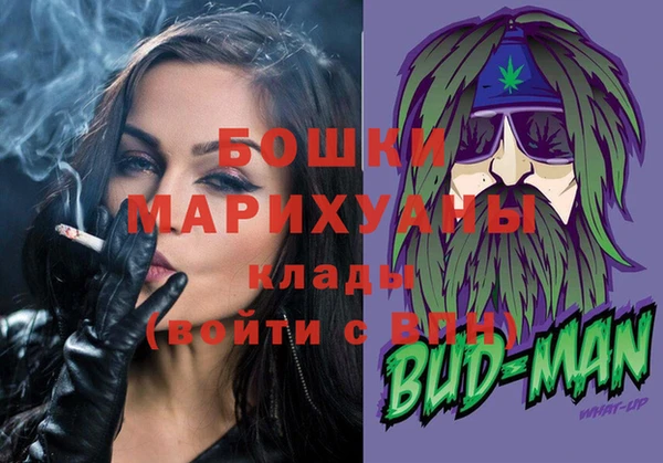 шишки Ельня